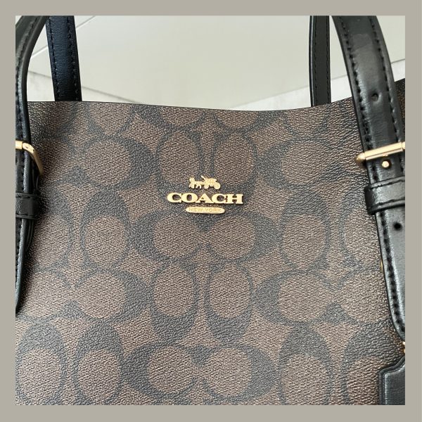 Coach Tote Bag Mollie Canvas Brown & Black - Imagen 2