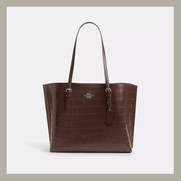 Coach Tote Bag Mollie Brown Stone