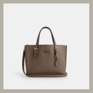 Coach Tote Bag Mini Mollie Dark Stone